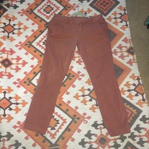 J crew pants